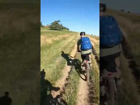 Angry horse chased MTB riders #mtb #chase #nature #horse #attack #cycling