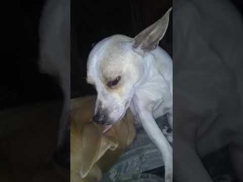 download lagu mp3 mp4 Just A Bj, download lagu Just A Bj gratis, unduh video klip Just A Bj