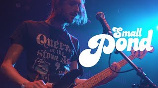 Delta Sleep - 'Strongthany' (Live)