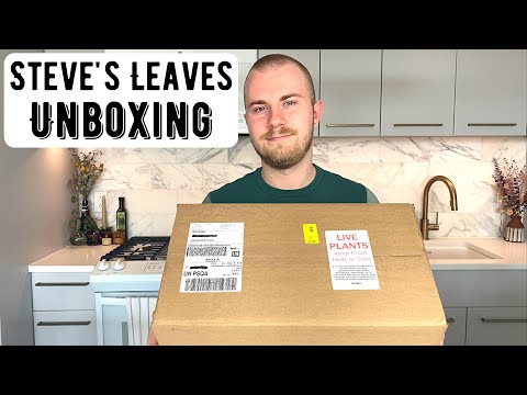 Steve's Leaves Houseplant Unboxing (2021)