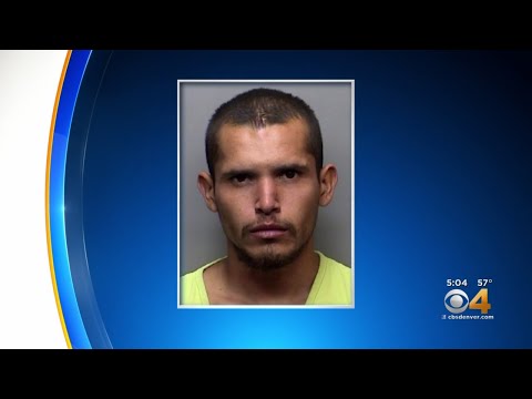 Larimer Inmate Search