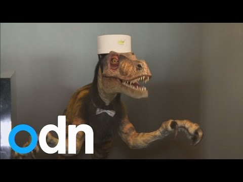 Robots replace staff in Japanese hotel