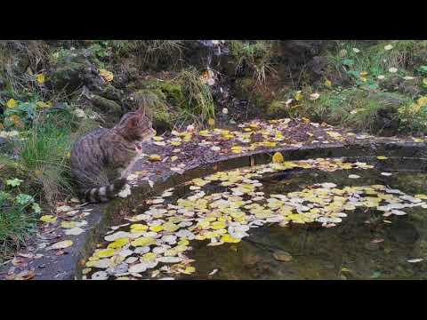 Town Hafnarfjörður