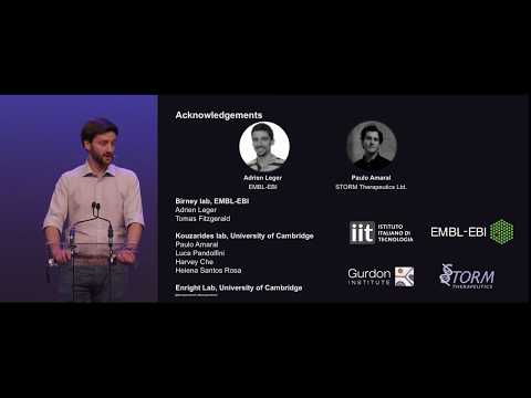 London Calling 2019: Tommaso Leonardi lightning talk