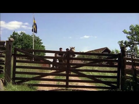 Michel aus Lnneberga Filme 3 - Part 01 HD Deutsch1