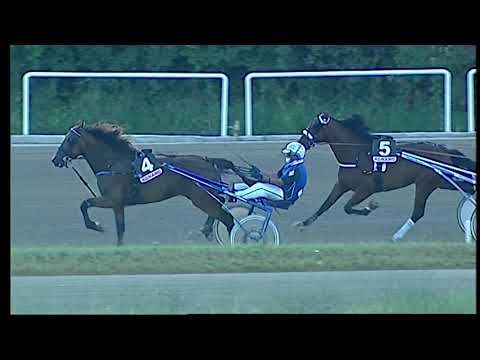 Napoli Trotto 02/07/2021 - 2ª corsa