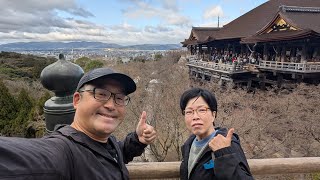 【京都旅2026年2月】その2　京都観光2日目！清水寺の音羽の滝のご利益あるソバを食べる！清水坂、産寧坂、二寧坂、ねねの道を通って八坂神社へ！昭和の雰囲気のラーメン藤！【なみよし旅】