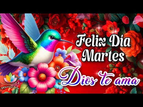 Good morning! Have a wonderful Tuesday! Open this beautiful message!