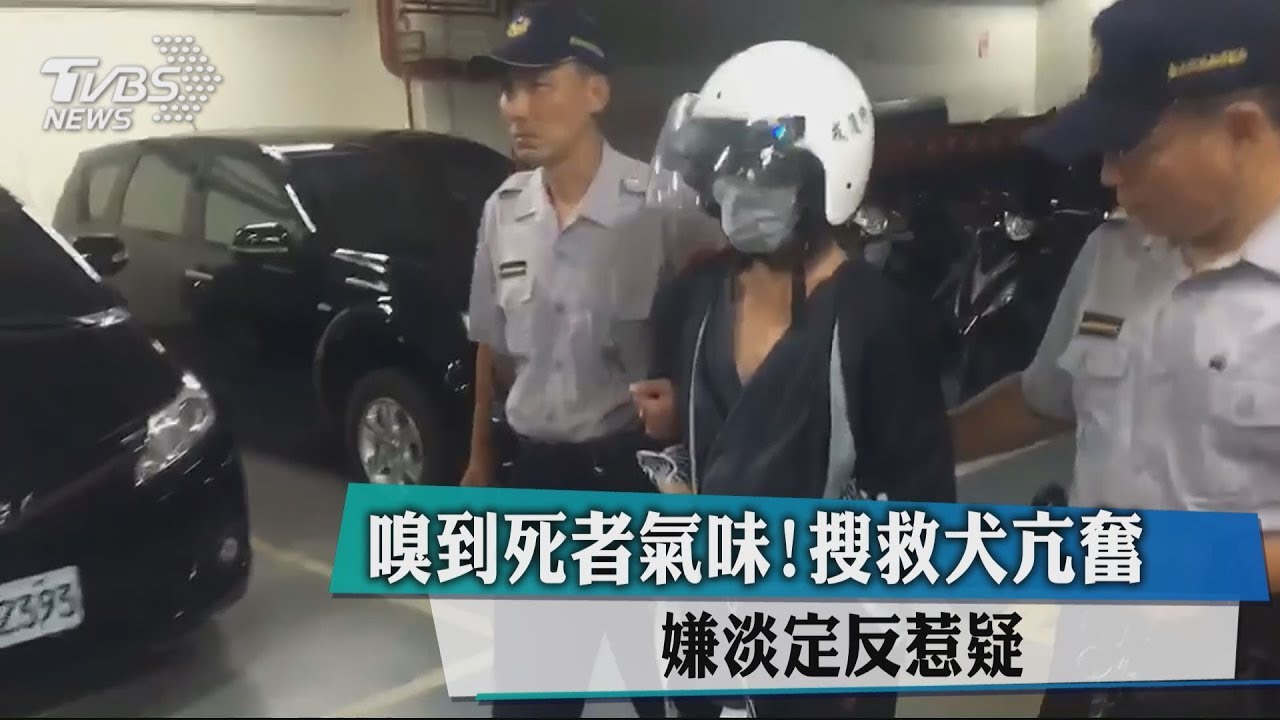 嗅到死者氣味！搜救犬亢奮　嫌淡定反惹疑