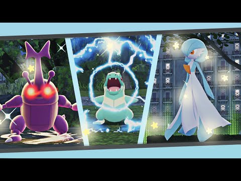 3 Shiny-Pokémon mit voller Wahrscheinlichkeit in der Wilden Zone 20 nach insgesamt 5674 Sichtunge...