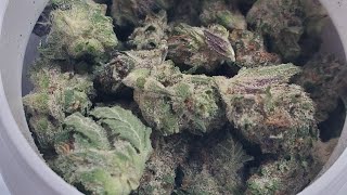 SPECIAL OPS SMALL FLOWER BY GLEAF PA