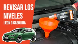 Youtube thumbnail of video "Cómo revisar los niveles Leon 3 1.5 TSI 📏"