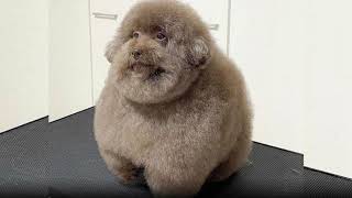 take me - oasis (sped up)