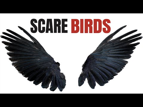 Special Sound To Scare Birds Away