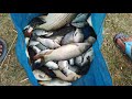 Lano bad shano phin leit khwai ( Mawlai Umjalynshir) #peit #fishingvideo