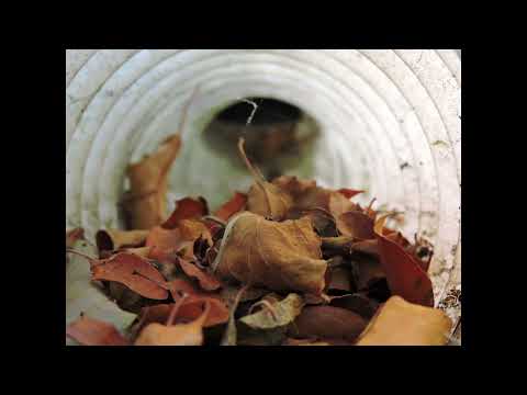 BYE BYE - GENESIS OWUSU - SLOWED TO PERFECTION