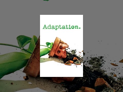 Adaptation