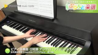 ピアノ協奏曲 ロ短調 アレグロ・アパッショナート / 松司馬拓指揮 Ensemble FOVE(Piano:實川風) : ピアノ（ソロ） / 上級