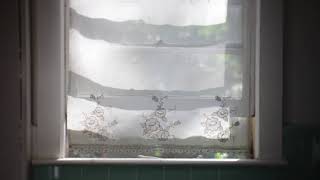 Window Music Video