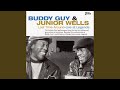 Hoodoo Man Blues (Live)
