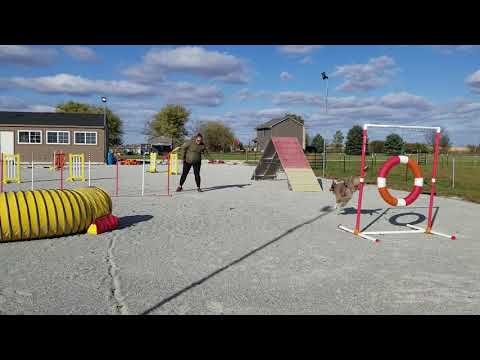 Vex GP Module 1 #109390