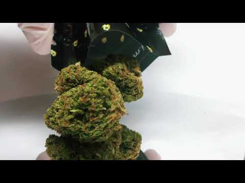 Kali Mist | Golden Farm®