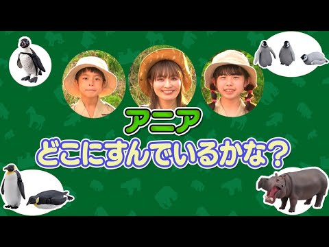 【公式】アニア どこにすんでいるかな？クイズ【タカラトミーキッズ】動物園 | たのしく学ぼう | どうぶつ | すみか | 習性 | ペンギン | カバ | zoo |