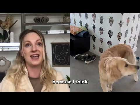 Homeschool by LAY LO: Dog training with world-class experts video.