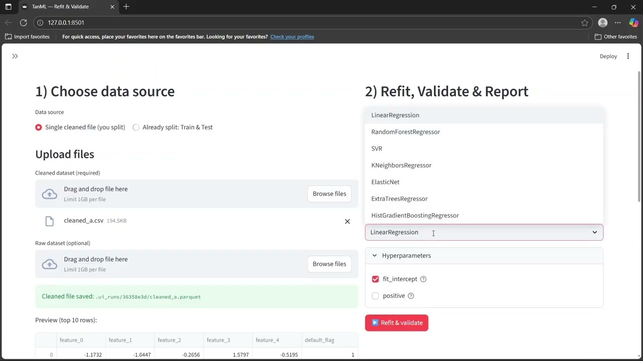 Watch the TanML Demo