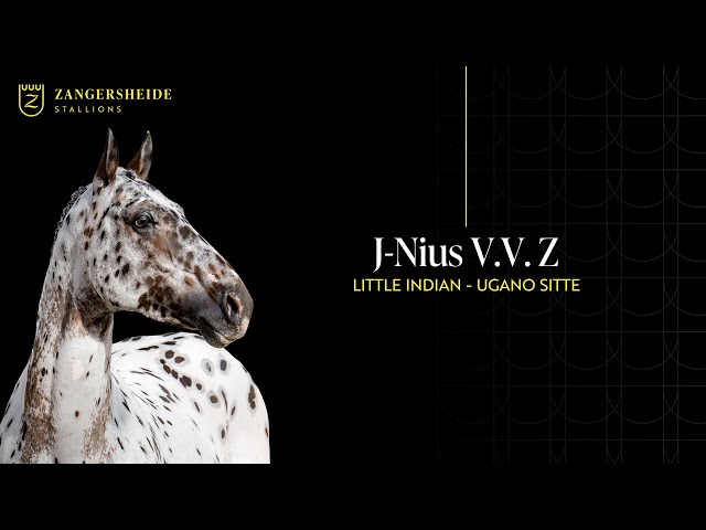 The father of this embyro is the upcoming star J-Nius VV Z.