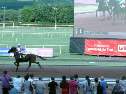 Copie de COURSES DE CHEVAUX A CABOURG LE 2 AOUT 2013