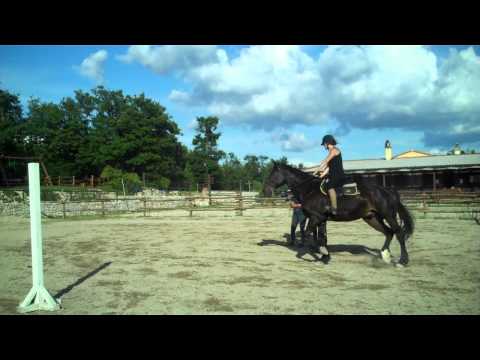 Horse Riding in Italy: Umbria