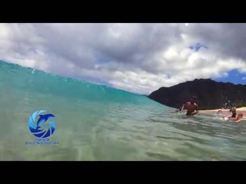 WAVE SHOREBREAK 6 14 18