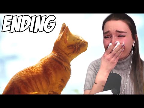 The Ending to Stray Broke My Heart ~ First Playthrough ~ Part 4