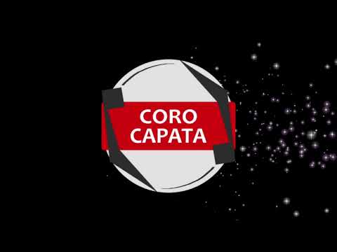 Concerto di Natale 2024, Capannori