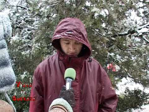 VIS 12.02.2009 - Justitia sub lupa