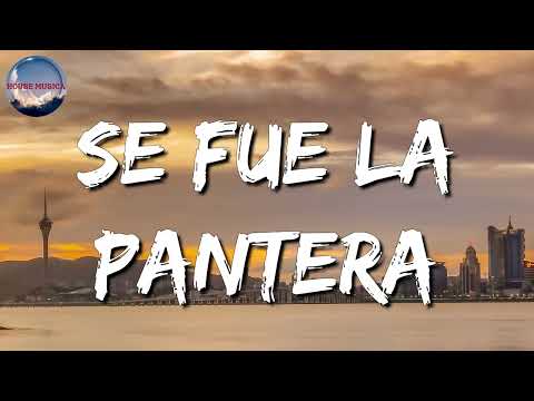 🎵 Grupo Firme, Grupo Recluta – Se Fue La Pantera (Letra/Lyrics)