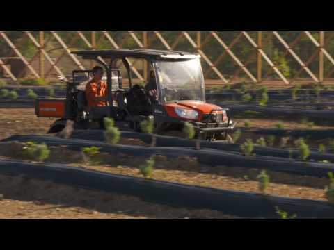 2023 Kubota RTV-X1140 in Walpole, New Hampshire - Video 1