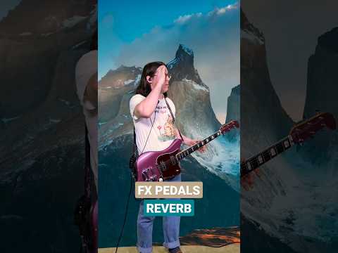 How Reverb Works! #shorts #geartalk #audioeffects #guitartips