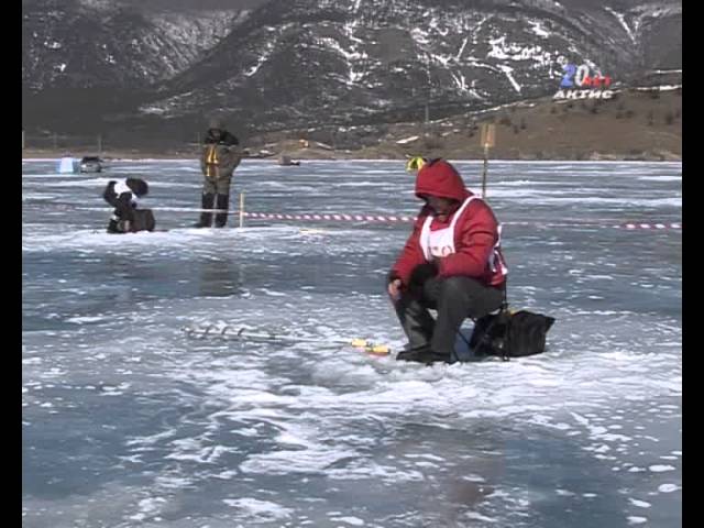 В честь юбилея «Динамо» возобновились соревнования по подледному лову