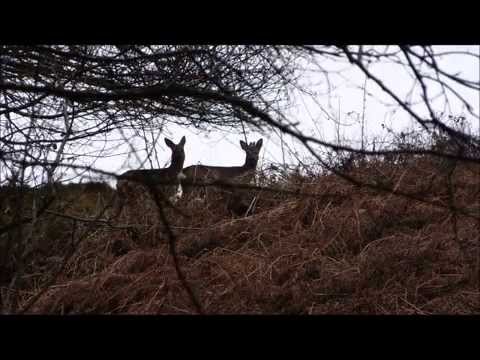 West Runton- A Short Film