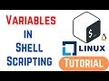 How to Use Variables in Shell Scripting | Shell Scripting Tutorial for Beginners