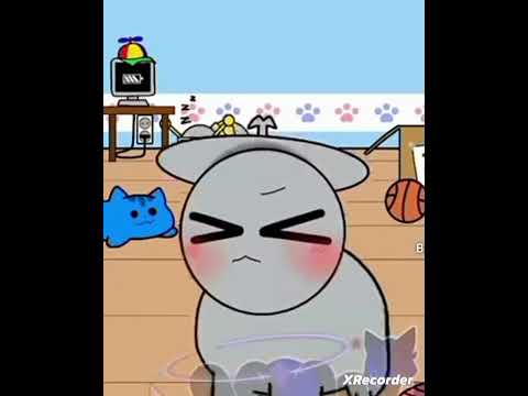 Garnold cluckr and fun bot bute cat 😻