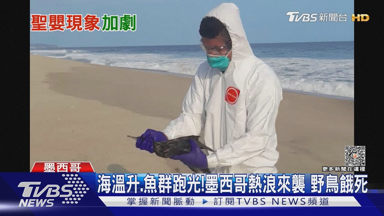 農作乾枯、基建損毀!聖嬰現象加劇極端氣候 全球氣溫恐再創新高