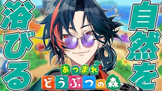 【あつ森】久しぶりに島を見に行こう【魁星/にじさんじ】