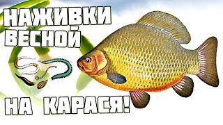 Приманка для карася в челябинской области