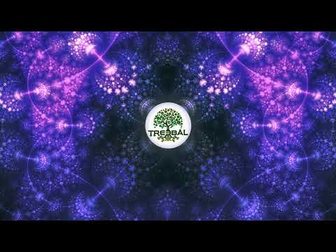 Quadrant @ Unite - Psytrance Sessions