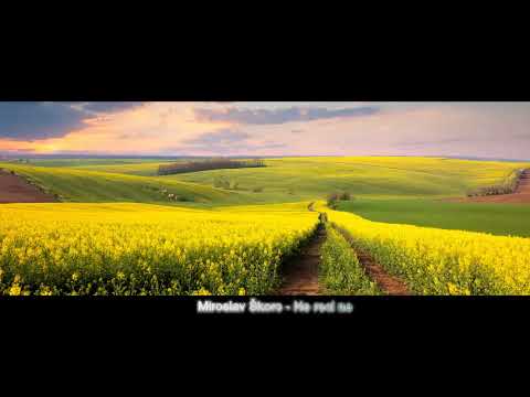 Miroslav Škoro - Ne reci ne