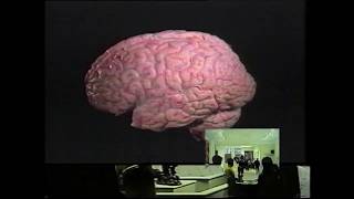 Palace Skateboards The Merchandise