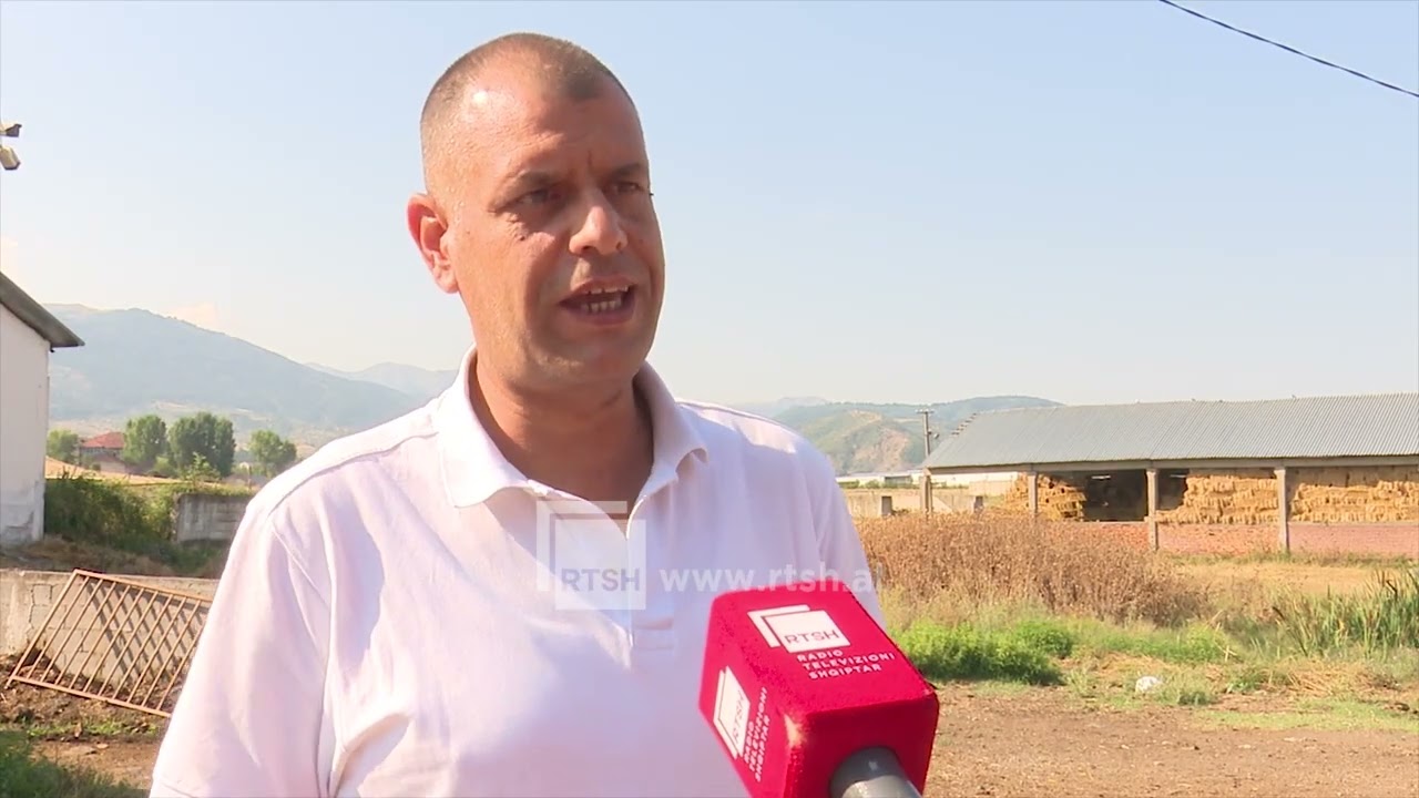 Mbarështimi i bagëtive, kujdes me futjen e bagëtive të reja në tufa